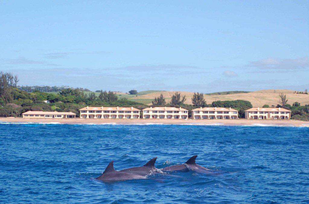 The Happy Wanderers Holiday Resort