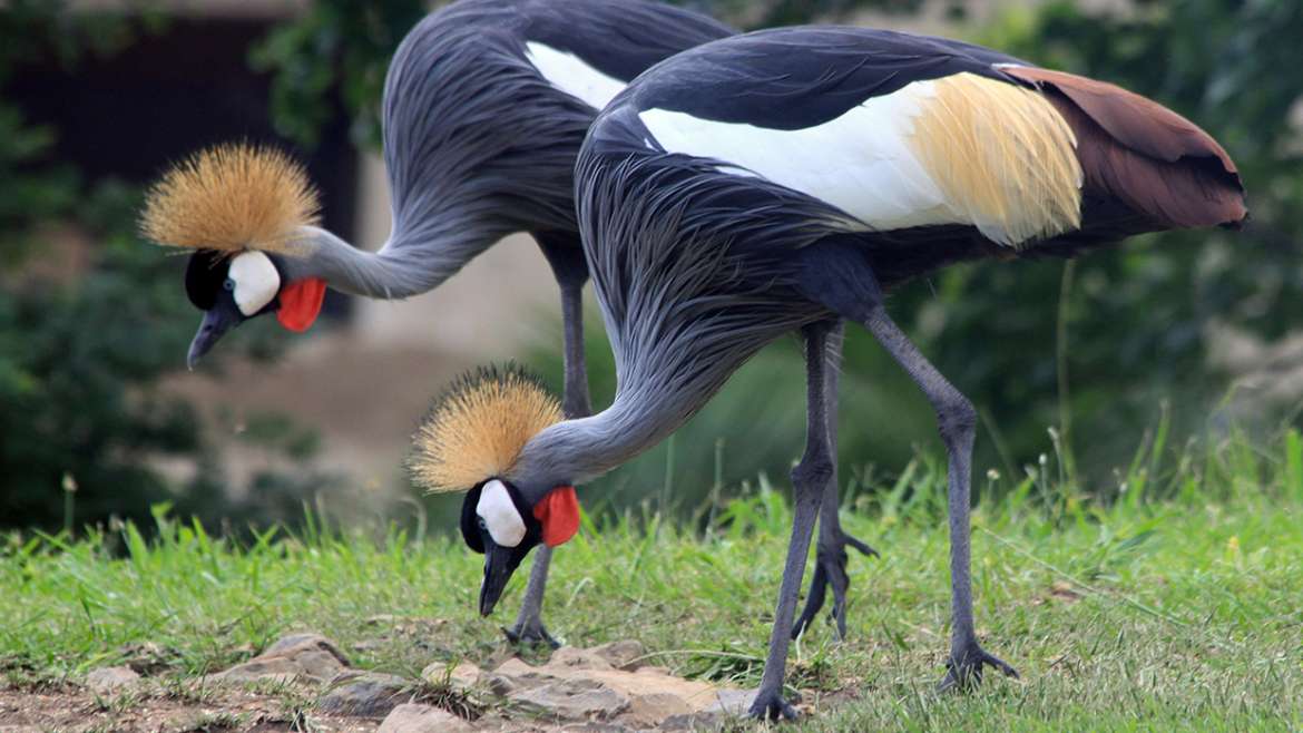 Shelly Beach Archives VISIT KZN SOUTH COAST