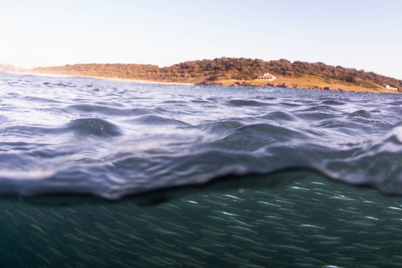 Home VISIT KZN SOUTH COAST