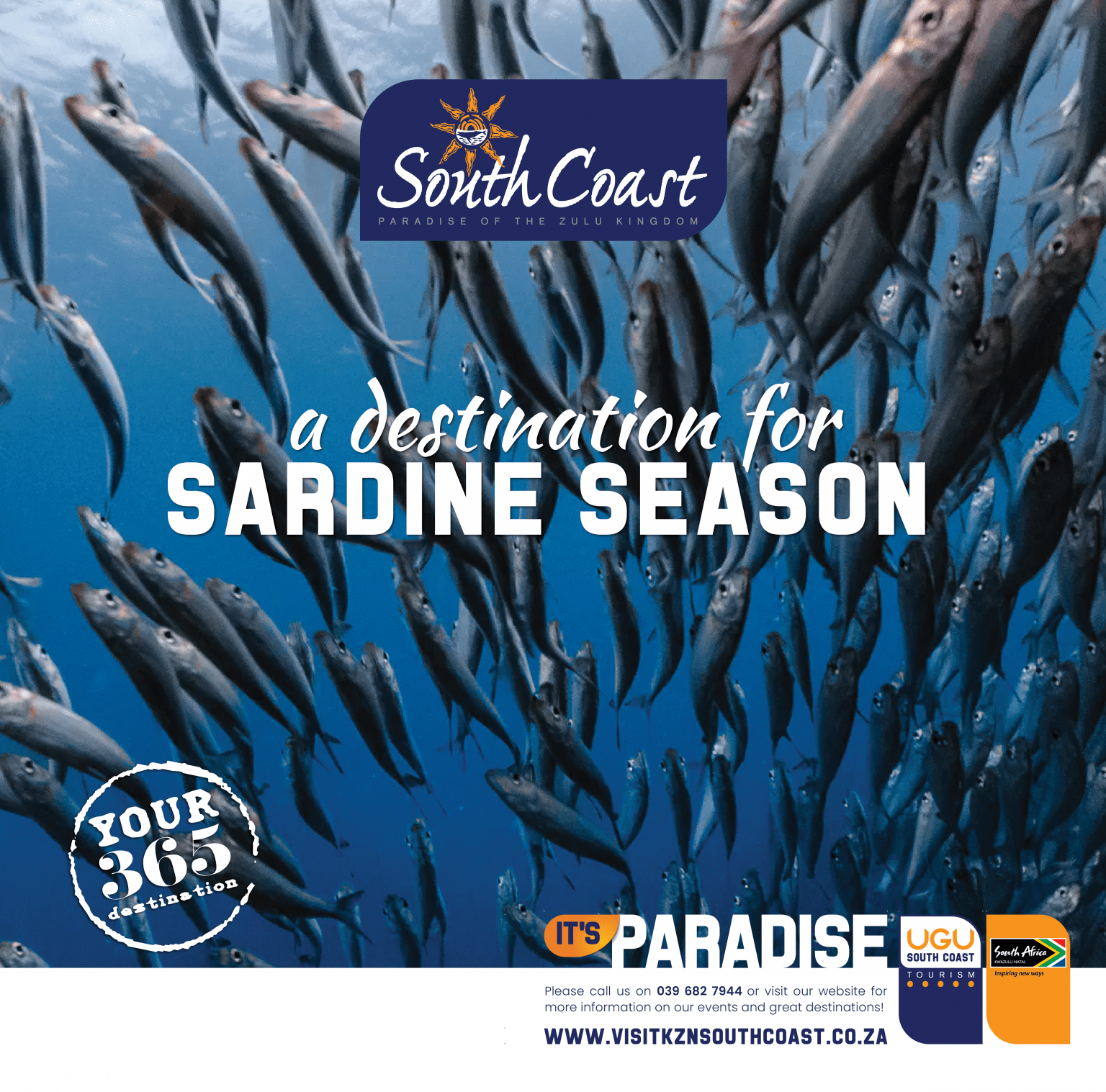 The Sardine Run VISIT KZN SOUTH COAST