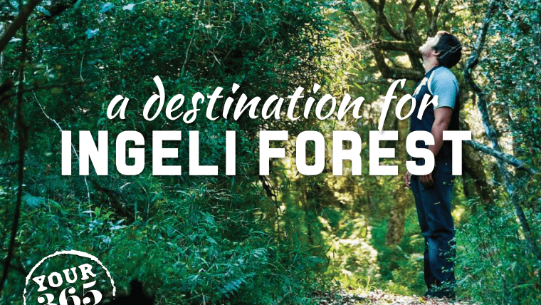 The Ingeli Forest