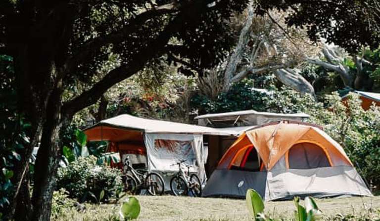 Characters Garden Park 2 768x448