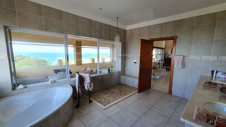 Geckomoon Gallery 5 768x432