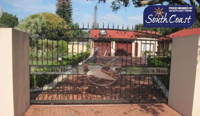 swalloe nest 768x448