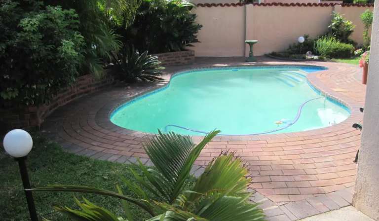 swalloe nest2 768x448