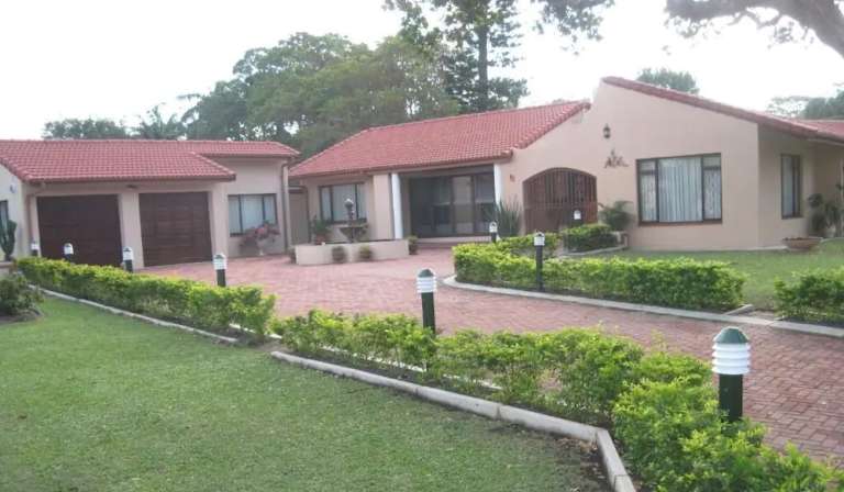 swalloe nest3 768x448