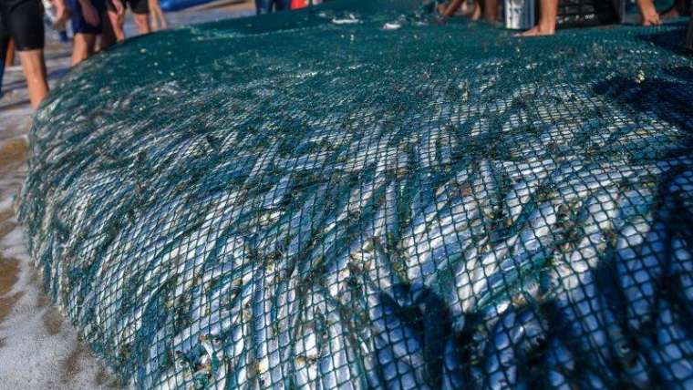 The countdown begins to the greatest ocean spectacle along the KZN South Coast