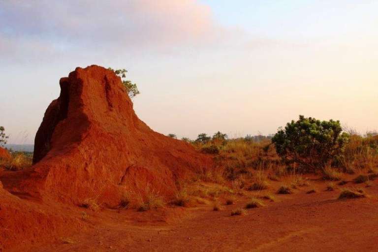 6 The Red Desert Nature Reserve 768x512