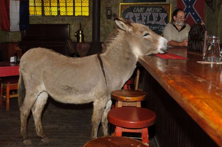 Pistols 0022 768x510