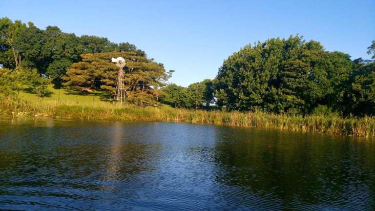 Secret Sithela Farm Nature Trail 768x432