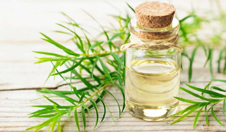 Tea Tree Oil 768x448