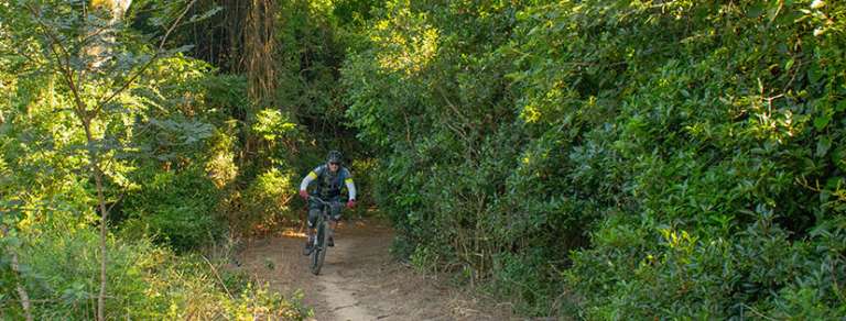 271845231 3127378947535624 6558156060417028386 n 768x292