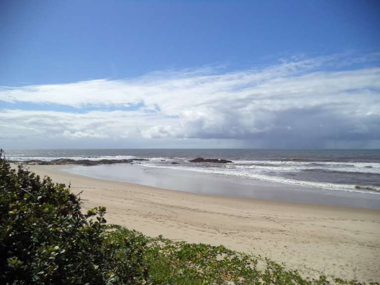 Brockman 11 1 768x576