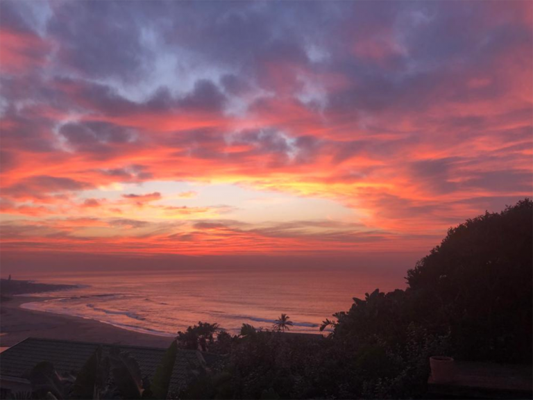 Feinberg View 1 768x576