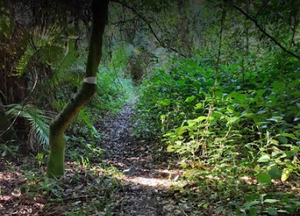 Screenshot 2022 07 21 181342