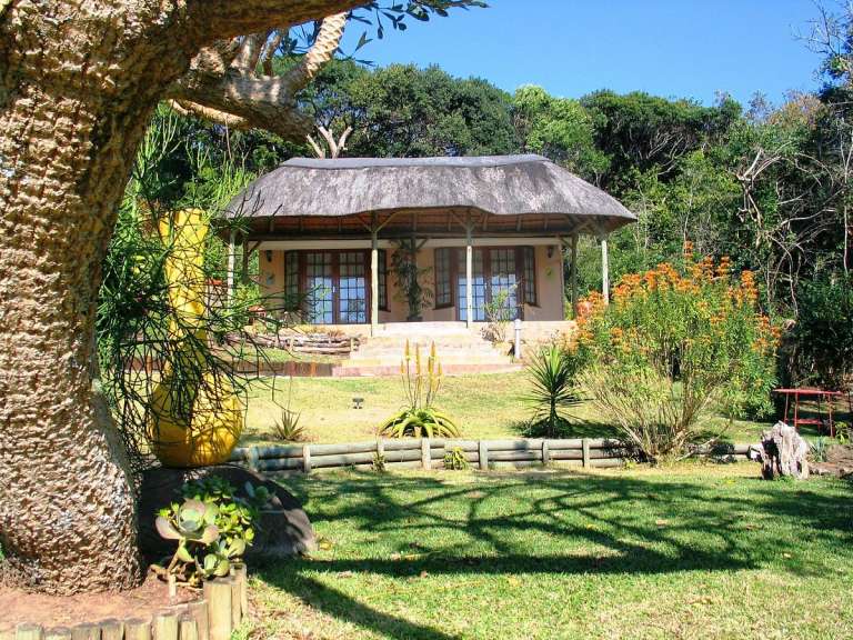 palm cottage bed breakfast 768x576