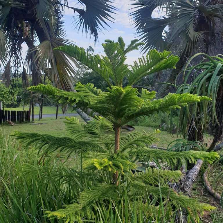 2019 12 30 1 768x768