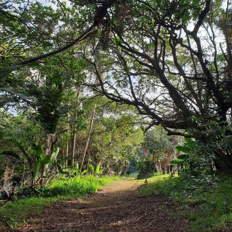 2019 12 30 2 768x768