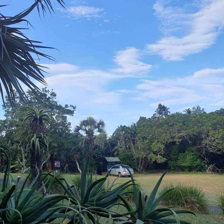 2019 12 30 4 768x768