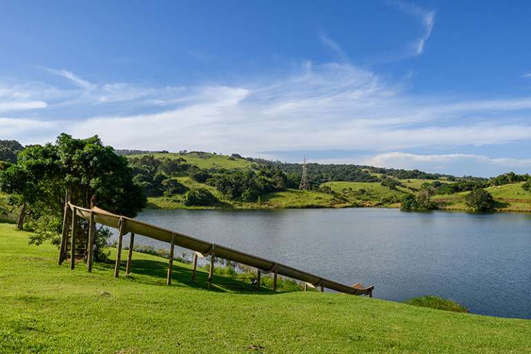 SeaViewFarm Jan2021 057 768x512