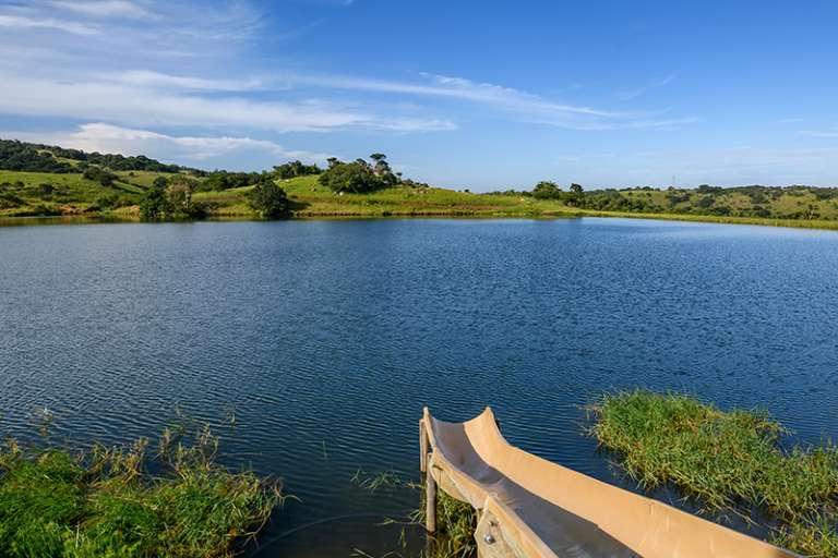 SeaViewFarm Jan2021 074 768x512