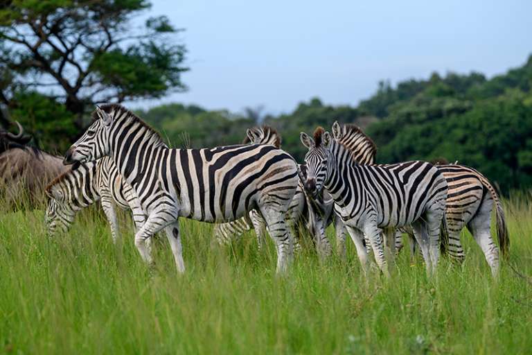 SeaViewFarm Jan2021 214 768x512