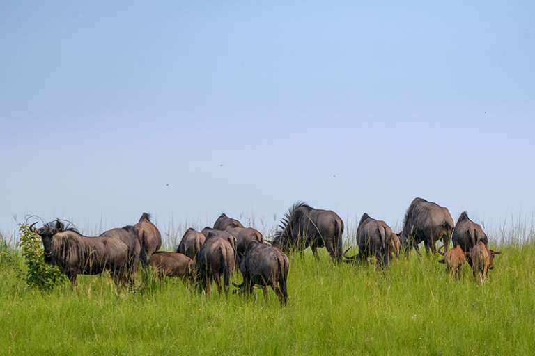 SeaViewFarm Jan2021 226 768x512