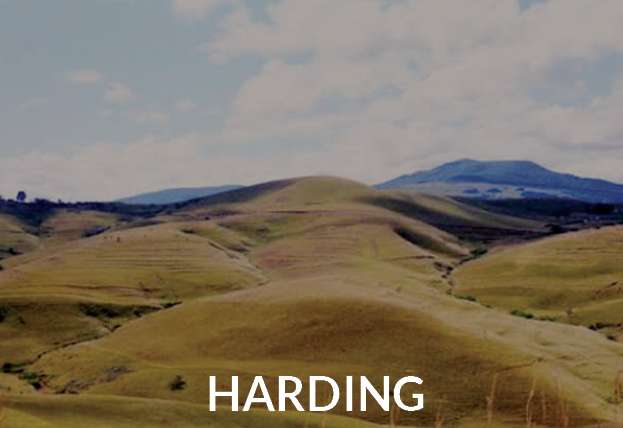 Harding