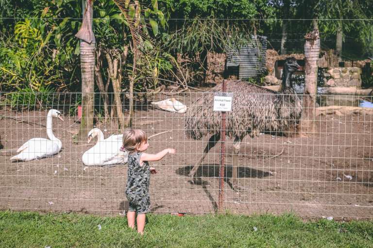 127140891 1530918660443065 3910527820410277461 n 768x512