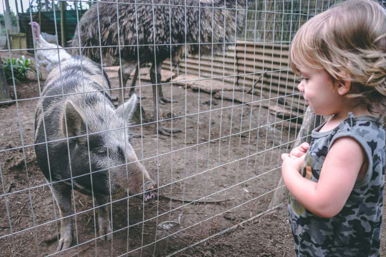 127810412 1530918643776400 2577274625012997551 n 768x512