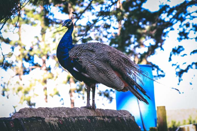 171845513 1635504989984431 8356725769105748643 n 768x512