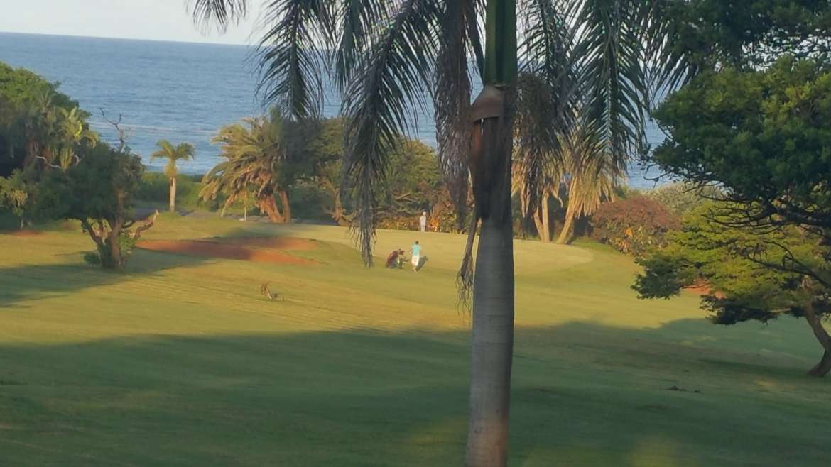 Umkomaas Golf Club VISIT KZN SOUTH COAST