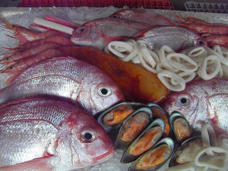 Adcan Fisheries 768x576