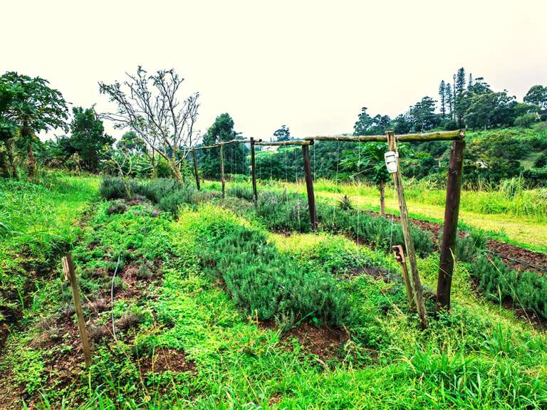 farm 1 768x576