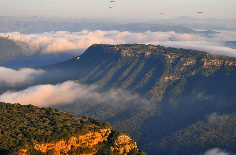 Oribi gorge Experience resized 768x503
