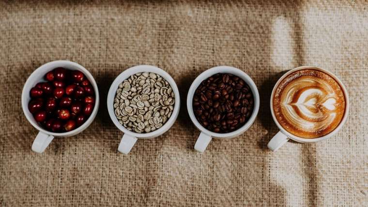 KZN MEC Backs Coffee Sector with Ugu District Social Compact to Drive Growth on the South Coast