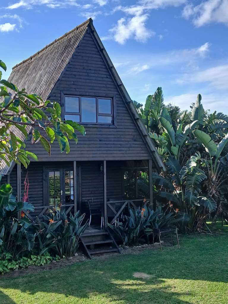 UMZUMBE SURF CAMP8 768x1024