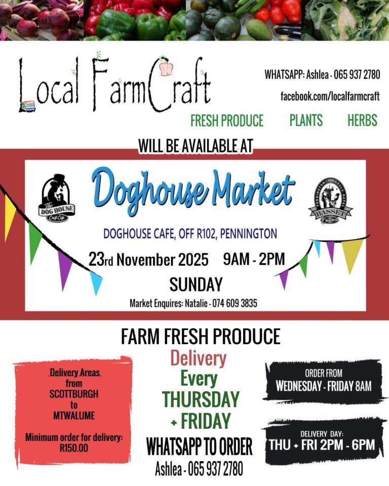 WhatsApp Image 2025 11 20 at 11.46.22 db7e2b9f 768x960