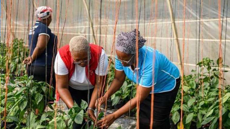 Women and Youth Entrepreneurs Shaping the Future of Tourism on the KZN South Coast