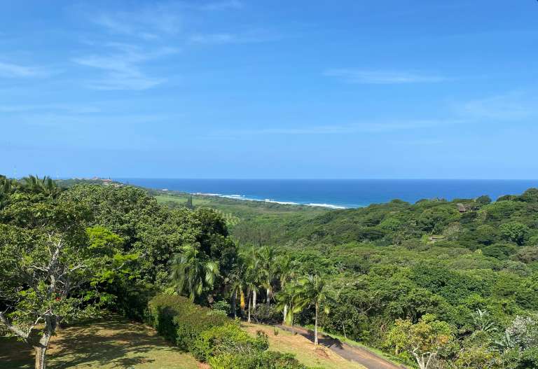 Ocean view 768x527