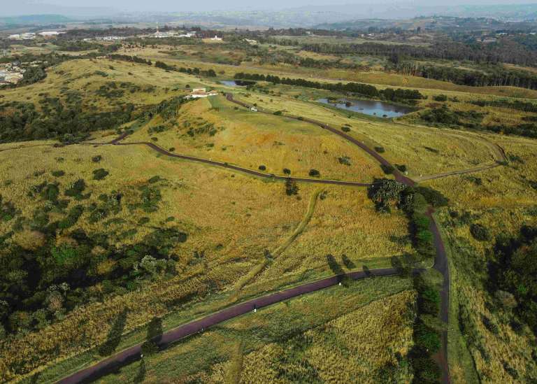 DJI 0959 768x549